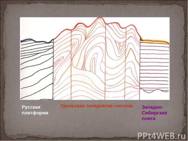 Русская платформа Уральская складчатая система Западно-Сибирская плита