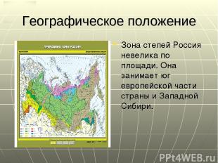 Географическое положение Зона степей Россия невелика по площади. Она занимает юг