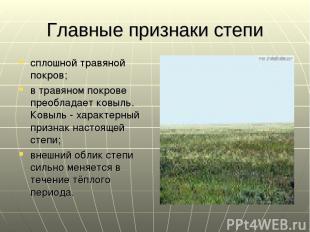 Главные признаки степи сплошной травяной покров; в травяном покрове преобладает