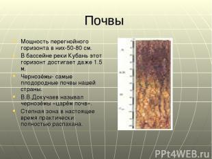 Почвы Мощность перегнойного горизонта в них-50-80 см. В бассейне реки Кубань это