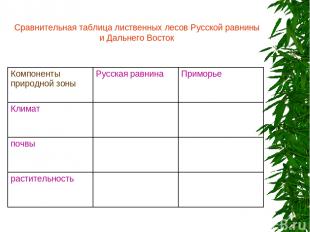 Сравнительная таблица лиственных лесов Русской равнины и Дальнего Восток Компоне