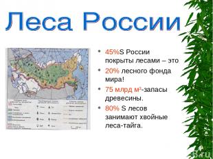 45%S России покрыты лесами – это 20% лесного фонда мира! 75 млрд м3-запасы древе
