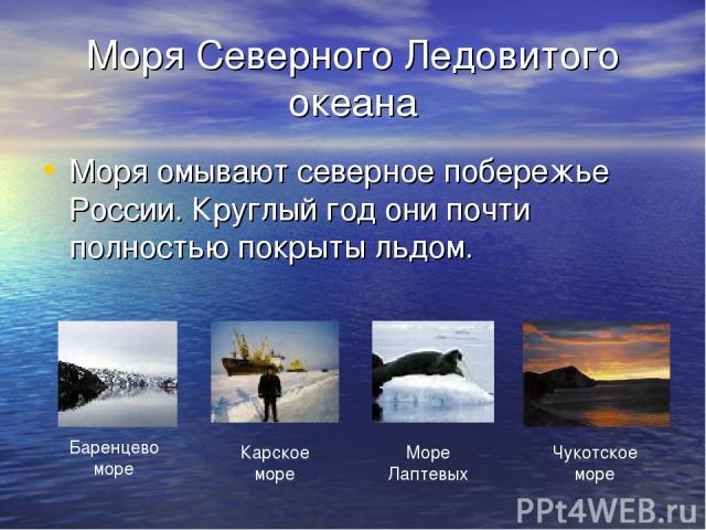Моря Северного Ледовитого океана Моря омывают северное побережье России. Круглый год они почти полностью покрыты льдом.