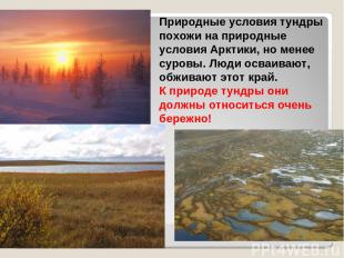 Природные условия тундры похожи на природные условия Арктики, но менее суровы. Л