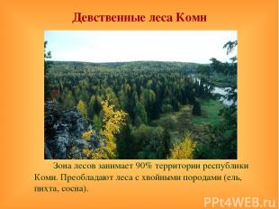Девственные леса Коми Зона лесов занимает 90% территории республики Коми. Преобл