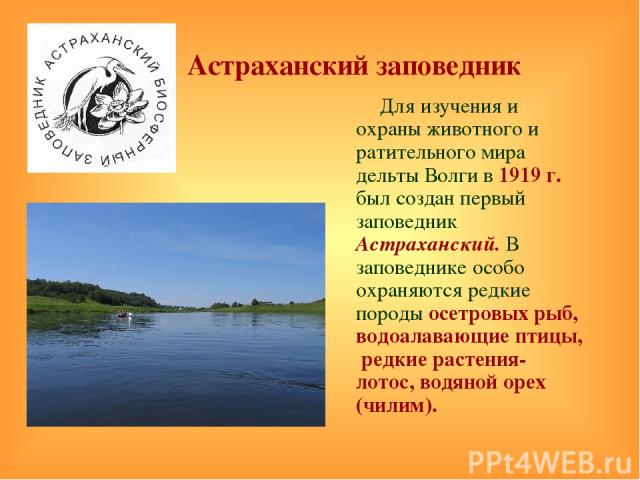 Для изучения и охраны животного и ратительного мира дельты Волги в 1919 г. был создан первый заповедник Астраханский. В заповеднике особо охраняются редкие породы осетровых рыб, водоалавающие птицы, редкие растения- лотос, водяной орех (чилим). Астр…