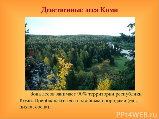 Девственные леса Коми Зона лесов занимает 90% территории республики Коми. Преобладают леса с хвойными породами (ель, пихта, сосна).