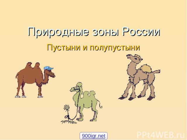 Природные зоны России Пустыни и полупустыни 900igr.net