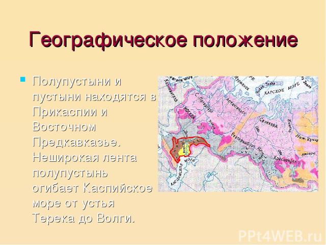 Географическое положение Полупустыни и пустыни находятся в Прикаспии и Восточном Предкавказье. Неширокая лента полупустынь огибает Каспийское море от устья Терека до Волги.