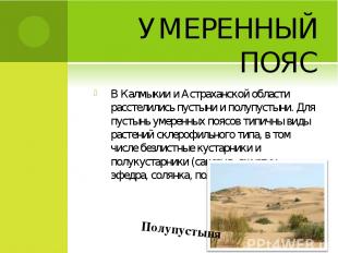 УМЕРЕННЫЙ ПОЯС В Калмыкии и Астраханской области расстелились пустыни и полупуст