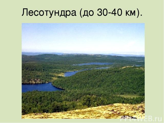 Лесотундра (до 30-40 км).