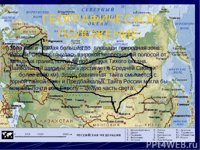 ГЕОГРАФИЧЕСКОЕ ПОЛОЖЕНИЕ: Зона тайги - самая большая по площади природная зона России. Она протянулась широкой непрерывной полосой от западных границ почти до побережья Тихого океана. Наибольшей ширины зона достигает в Средней Сибири ( более 2000 км…