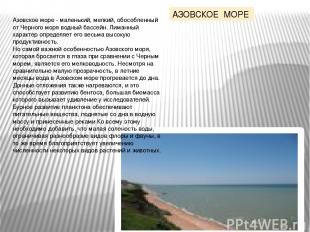 Азовское море - маленький, мелкий, обособленный от Черного моря водный бассейн.