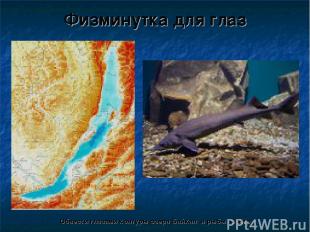 Физминутка для глаз Обвести глазами контуры озера Байкал и рыбы Осётр