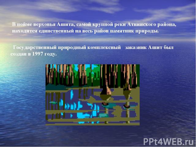 В пойме верховья Ашита, самой крупной реки Атнинского района, находится единственный на весь район памятник природы. Государственный природный комплексный заказник Ашит был создан в 1997 году.