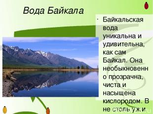 Наиболее известное и весьма загадочное животное, обитающее на озере Байкал, - бе