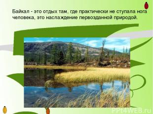 Байкал - это возможность понаблюдать за дикими животными в естественной среде их