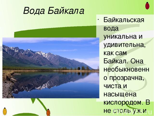 Наиболее известное и весьма загадочное животное, обитающее на озере Байкал, - безусловно, байкальская нерпа. Этот, тоже эндемичный, вид процветает на озере с незапамятных времен, насчитывая на сегодняшний день 70 000 особей, питающихся изобильными з…