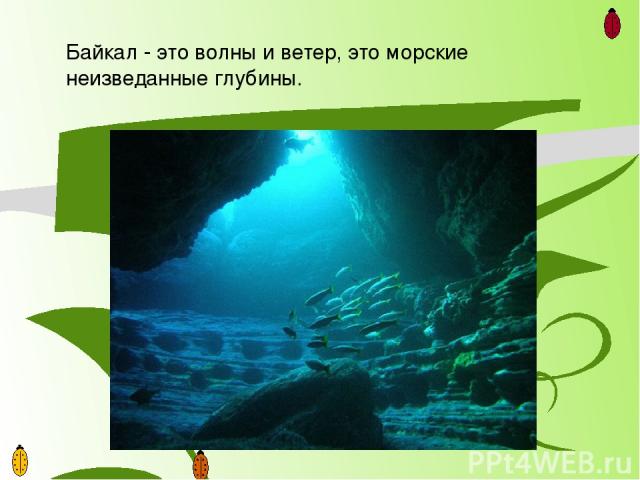 Среди всех озер на Земле Байкалу нет равных по возрасту, ему примерно 25 миллионов лет. По мнению ученых,  большинство водоемов  в среднем живут 10-15 тысяч лет. У Байкала нет никаких признаков старения, исследования последних лет позволили ученым в…