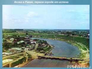 Волга в Ржеве, первом городе от истока