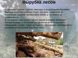 Вырубка лесов По данным Гринпис России, ежегодно в водосборном бассейне Байкала