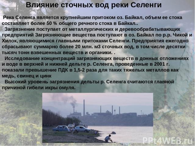Влияние сточных вод реки Селенги Река Селенга является крупнейшим притоком оз. Байкал, объем ее стока составляет более 50 % общего речного стока в Байкал.. Загрязнение поступает от металлургических и деревообрабатывающих предприятий Загрязняющие вещ…