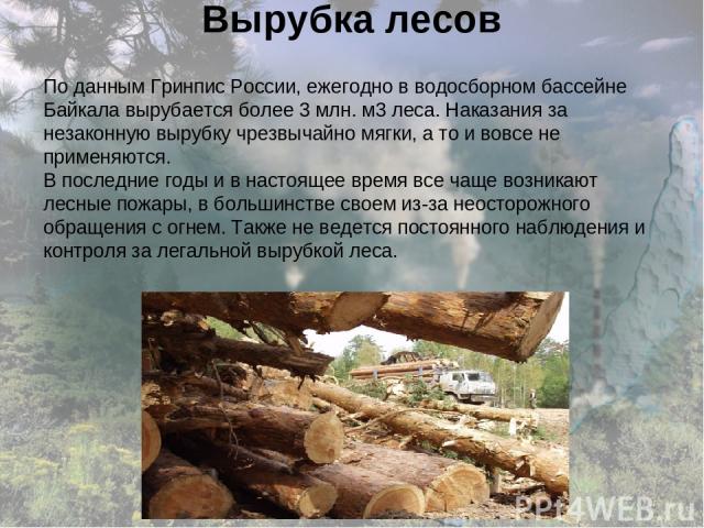 Вырубка лесов По данным Гринпис России, ежегодно в водосборном бассейне Байкала вырубается более 3 млн. м3 леса. Наказания за незаконную вырубку чрезвычайно мягки, а то и вовсе не применяются. В последние годы и в настоящее время все чаще возникают …