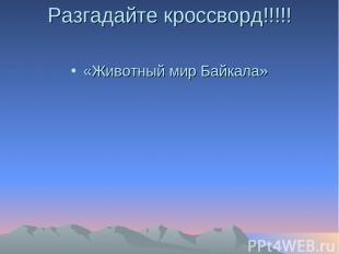Разгадайте кроссворд!!!!! «Животный мир Байкала»