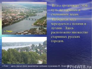 Волга продолжает свой путь по таежным и смешанным лесам. На берегах леса чередую