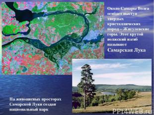 Около Самары Волга огибает выступ твердых кристаллических пород – Жигулевские го