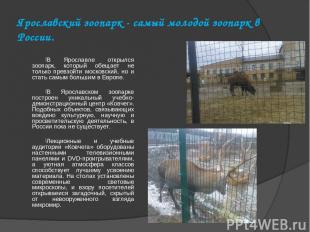 Ярославский зоопарк - самый молодой зоопарк в России. В Ярославле открылся зоопа