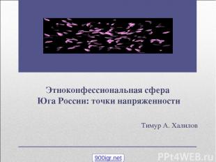 Этноконфессиональная сфера Юга России: точки напряженности Тимур А. Халилов 900i