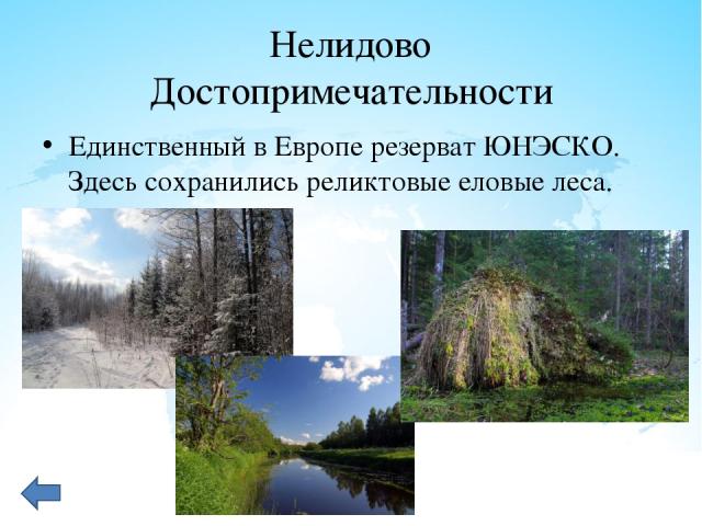 Нелидово Достопримечательности Единственный в Европе резерват ЮНЭСКО. Здесь сохранились реликтовые еловые леса. 