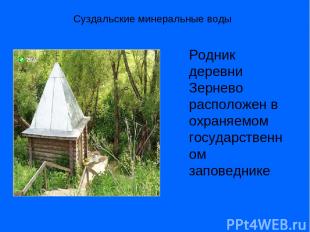 Суздальские минеральные воды Родник деревни Зернево расположен в охраняемом госу
