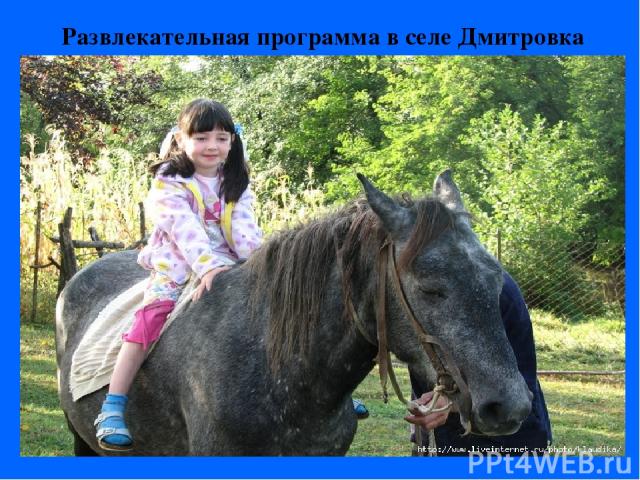 Развлекательная программа в селе Дмитровка Катание на лошадях
