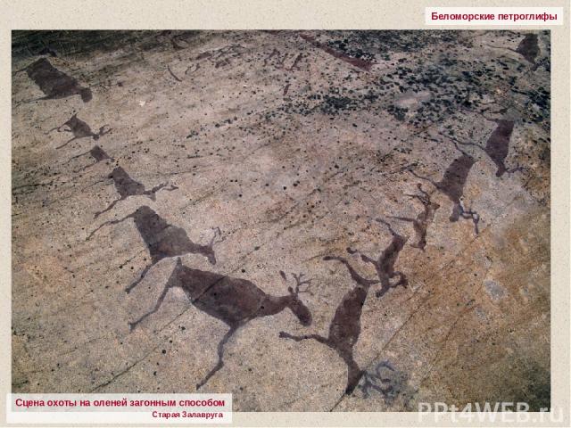 Беломорские петроглифы Сцена охоты на оленей загонным способом Старая Залавруга