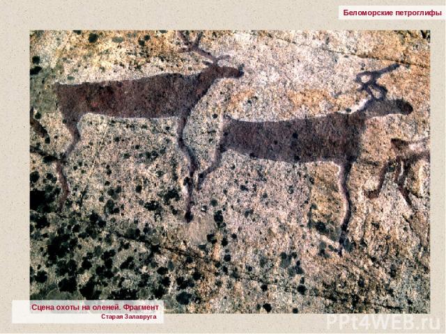 Беломорские петроглифы Сцена охоты на оленей. Фрагмент Старая Залавруга