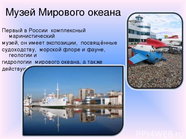 Музей Мирового океана Первый в России комплексный маринистический музей, он имеет экспозиции, посвящённые судоходству, морской флоре и фауне, геологии и гидрологии мирового океана, а также действующую экологическую станцию.