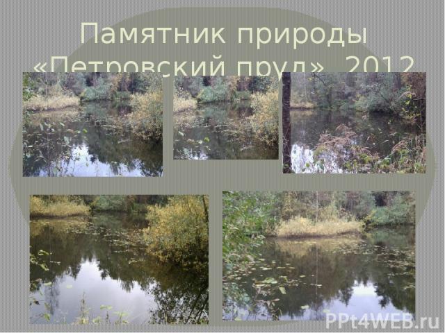 Памятник природы «Петровский пруд». 2012 г.