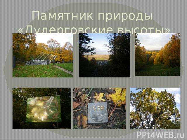 Памятник природы «Дудерговские высоты»