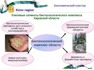 Ключевые сегменты биотехнологического комплекса Кировской области Биохимический