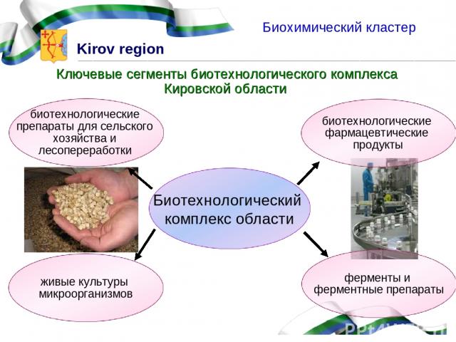 Ключевые сегменты биотехнологического комплекса Кировской области Биохимический кластер Kirov region