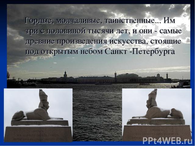 Гордые, молчаливые, таинственные... Им три с половиной тысячи лет, и они - самые древние произведения искусства, стоящие под открытым небом Санкт -Петербурга