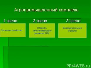 Агропромышленный комплекс 1 звено 2 звено 3 звено Сельское Промышлен- Вспомогате