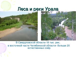 Леса и реки Урала В Свердловской области 18 тыс. рек, в восточной части Челябинс