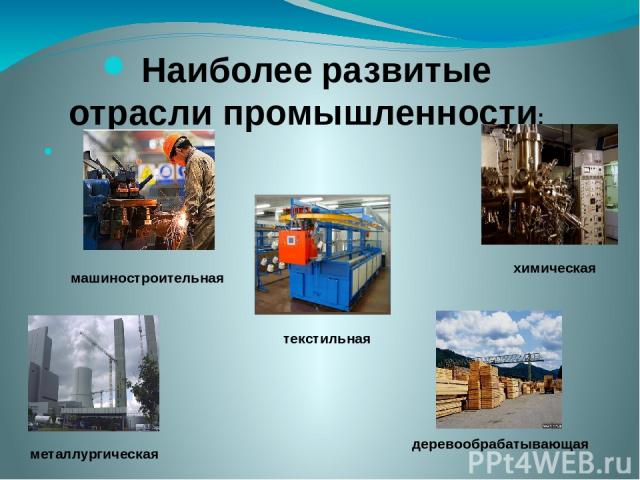 Наиболее развитые отрасли промышленности: химическая деревообрабатывающая текстильная металлургическая машиностроительная