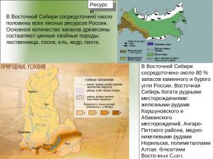 Ресурсы В Восточной Сибири сосредоточено около половины всех лесных ресурсов Рос