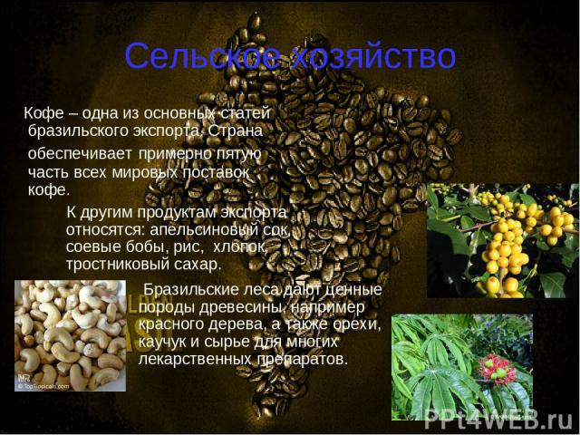 Сельское хозяйство Кофе – одна из основных статей бразильского экспорта. Страна обеспечивает примерно пятую часть всех мировых поставок кофе. К другим продуктам экспорта относятся: апельсиновый сок, соевые бобы, рис, хлопок, тростниковый сахар. Браз…