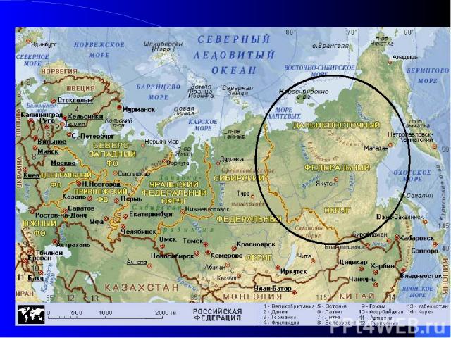 Дальневосточный экономический район— крупнейший по территории экономический район страны. Он занимает почти половину всей Восточной экономической зоны России.  Площадь — 6215,9 тыс. км2, население — 7,1 млн чел. (5 % от РФ). 