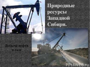 Природные ресурсы Западной Сибири. Добыча нефти и газа